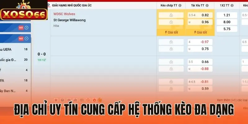 Địa chỉ uy tín cung cấp hệ thống kèo đa dạng