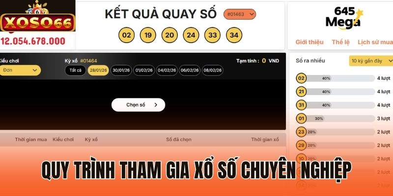 Quy trình tham gia xổ số chuyên nghiệp